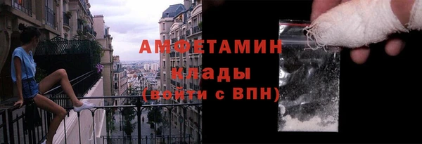 амф Горняк