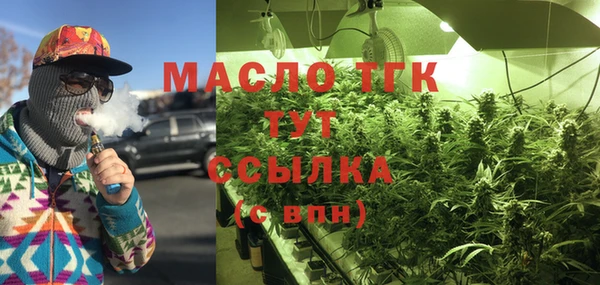 амф Горняк