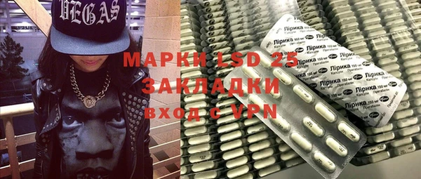 гидра Тайга