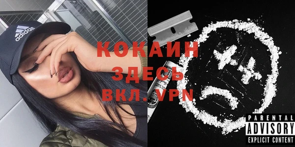 амф Горняк