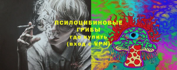 амф Горняк