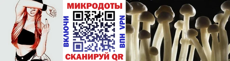 Псилоцибиновые грибы MAGIC MUSHROOMS  Нея 